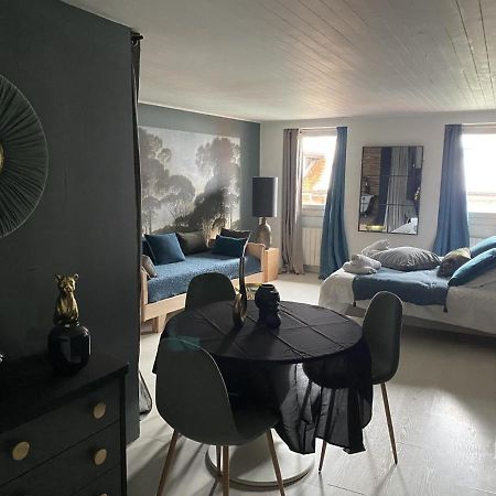 "Un Lieu Unique" Le Cozy Lejlighed Annecy Eksteriør billede
