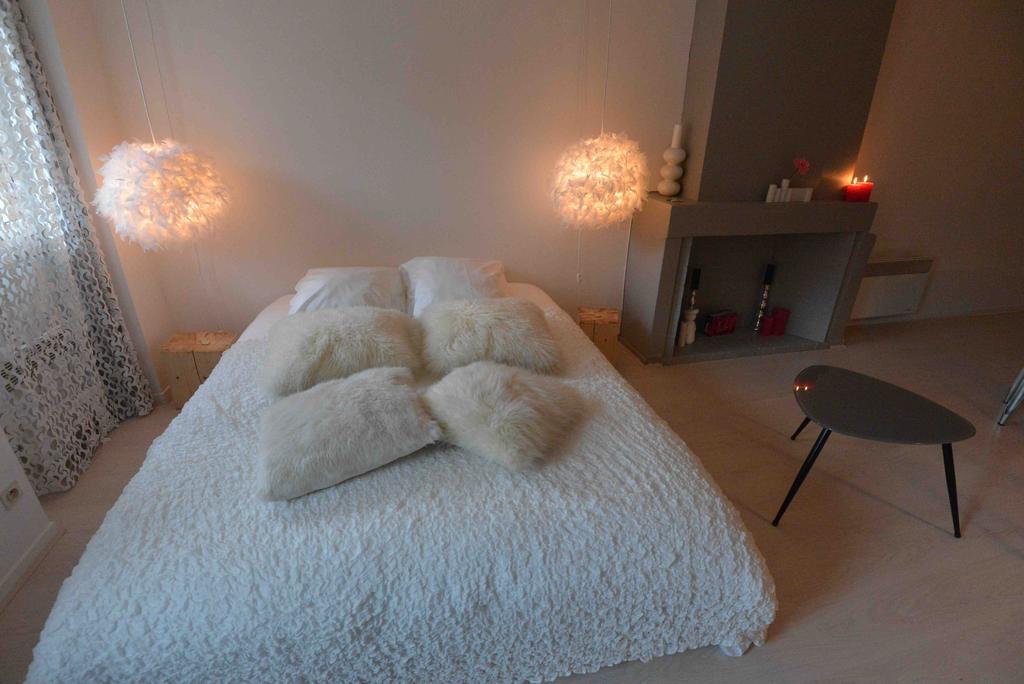 "Un Lieu Unique" Le Cozy Lejlighed Annecy Værelse billede